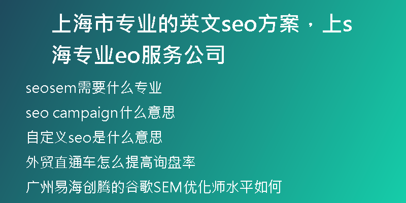 上海市专业的英文seo方案，上海专业seo服务公司