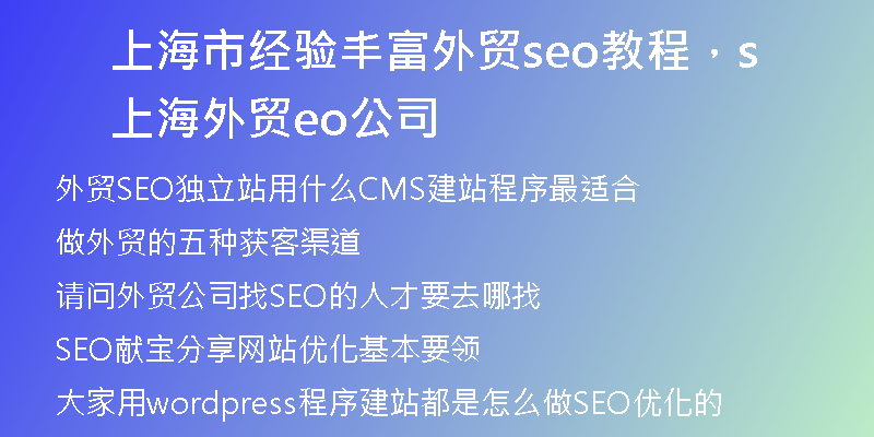 上海市经验丰富外贸seo教程，上海外贸seo公司
