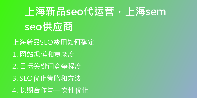 上海新品seo代运营,上海sem seo 供应商
