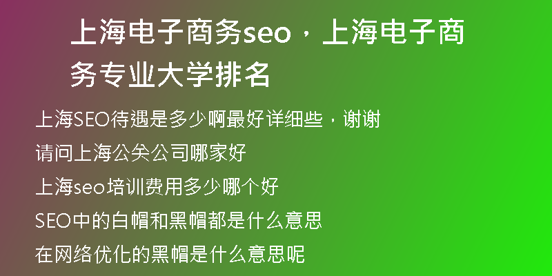 上海电子商务seo，上海电子商务专业大学排名