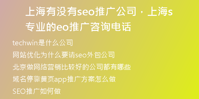 上海有没有seo推广公司，上海专业的seo推广咨询电话