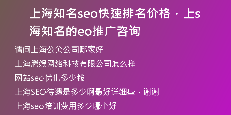 上海知名seo快速排名价格，上海知名的seo推广咨询
