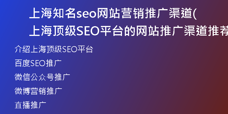 上海知名seo网站营销推广渠道(上海顶级SEO平台的网站推广渠道推荐)