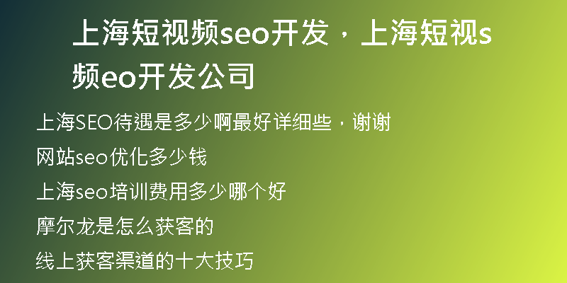 上海短视频seo开发，上海短视频seo开发公司