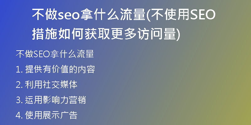 不做seo拿什么流量(不使用SEO措施如何获取更多访问量)