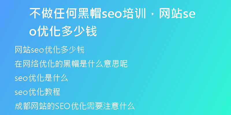 不做任何黑帽seo培训，网站seo优化多少钱
