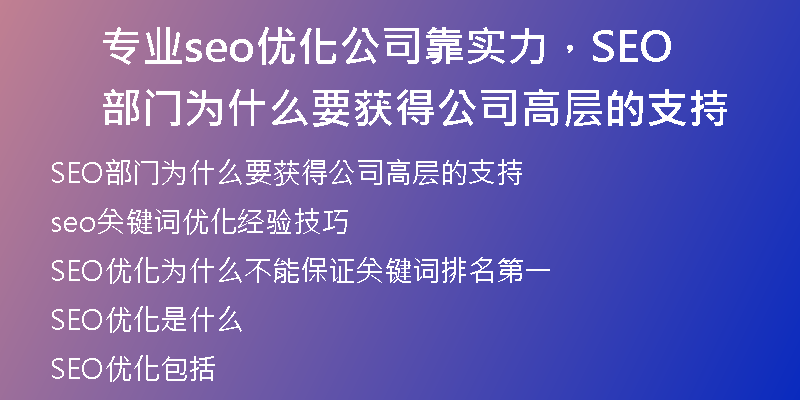 专业seo优化公司靠实力，SEO部门为什么要获得公司高层的支持