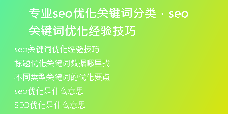 专业seo优化关键词分类，seo关键词优化经验技巧