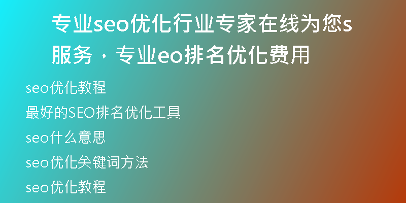 专业seo优化行业专家在线为您服务,专业seo排名优化费用