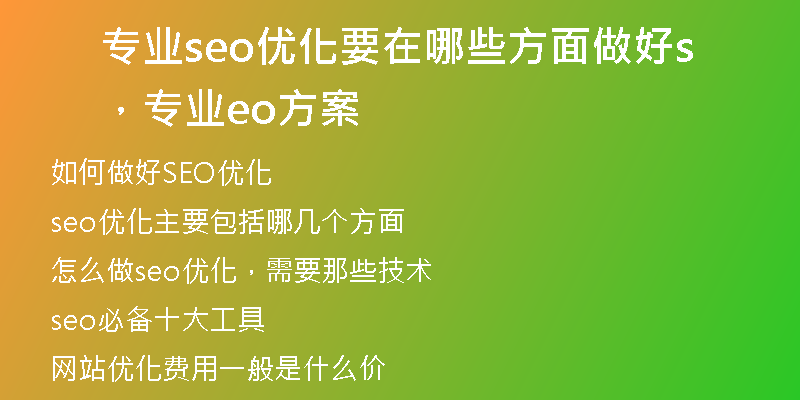 专业seo优化要在哪些方面做好，专业seo方案