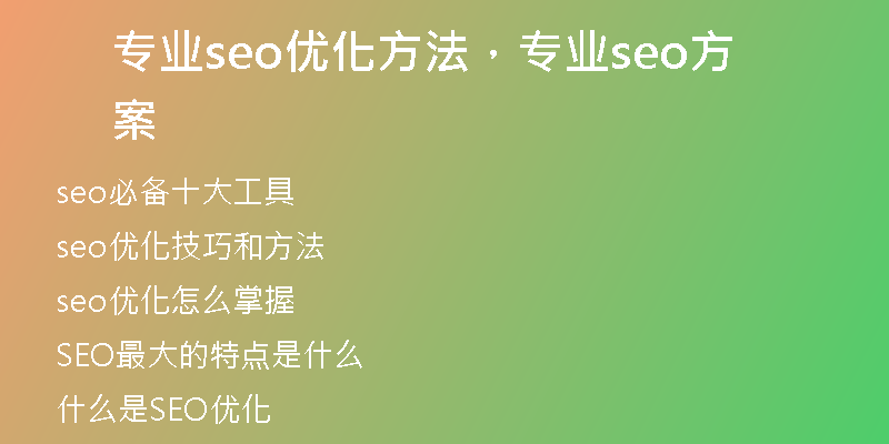 专业seo优化方法，专业seo方案