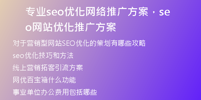 专业seo优化网络推广方案，seo网站优化推广方案