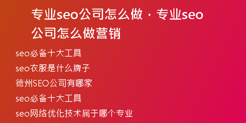 专业seo公司怎么做,专业seo公司怎么做营销