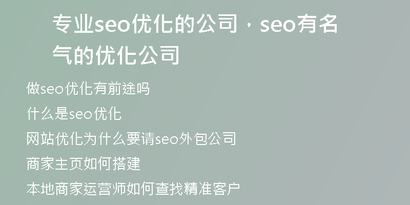 专业seo优化的公司，seo有名气的优化公司