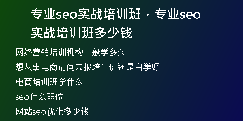 专业seo实战培训班，专业seo实战培训班多少钱