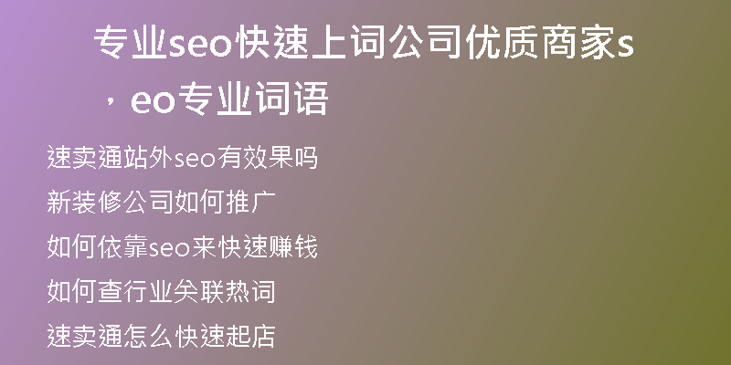 专业seo快速上词公司优质商家，seo专业词语
