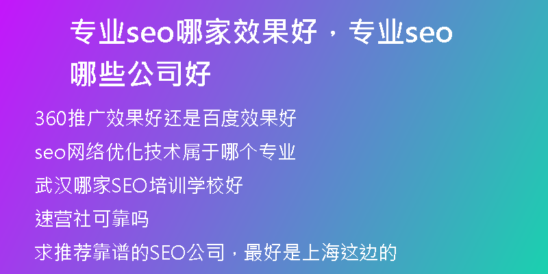 专业seo哪家效果好,专业seo哪些公司好