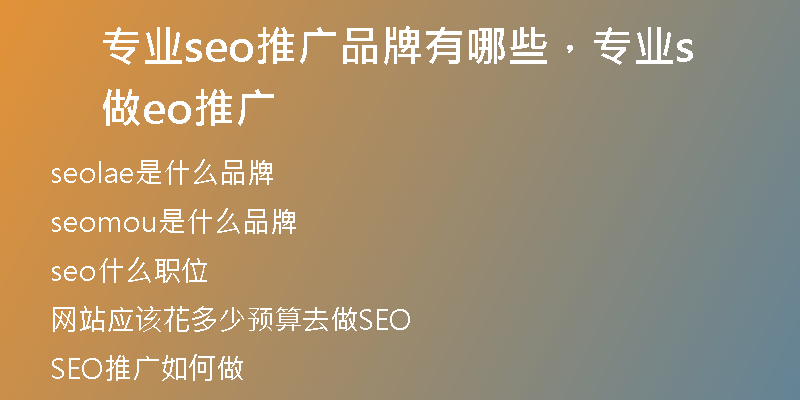 专业seo推广品牌有哪些，专业做seo推广