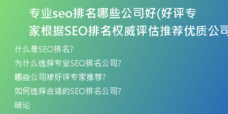 专业seo排名哪些公司好(好评专家根据SEO排名权威评估推荐优质公司)