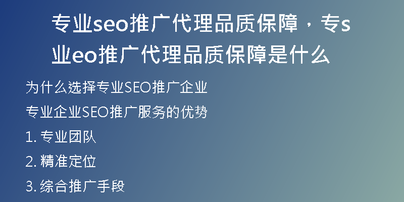专业seo推广代理品质保障，专业seo推广代理品质保障是什么