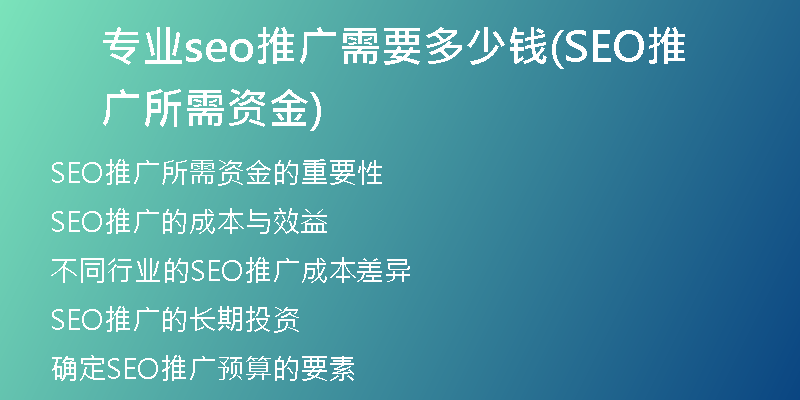 专业seo推广需要多少钱(SEO推广所需资金)