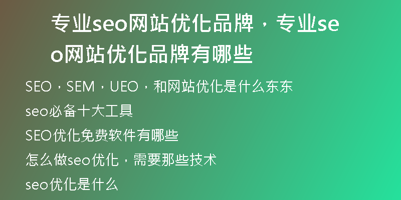 专业seo网站优化品牌，专业seo网站优化品牌有哪些