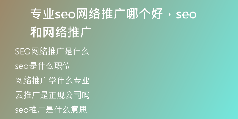 专业seo网络推广哪个好，seo和网络推广