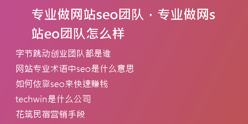 专业做网站seo团队,专业做网站seo团队怎么样