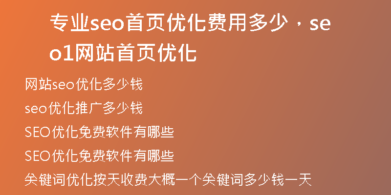专业seo首页优化费用多少，seo1网站首页优化