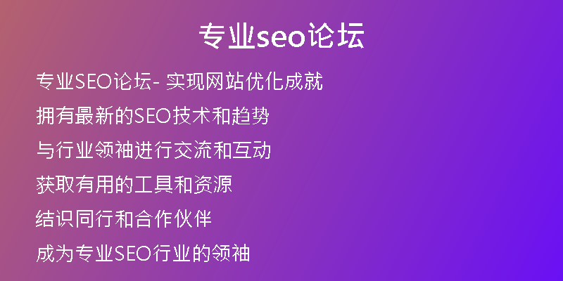 专业seo论坛