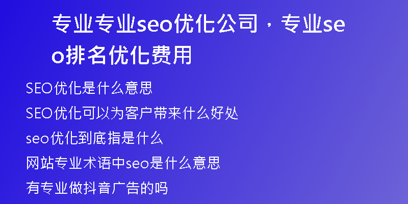 专业专业seo优化公司，专业seo排名优化费用