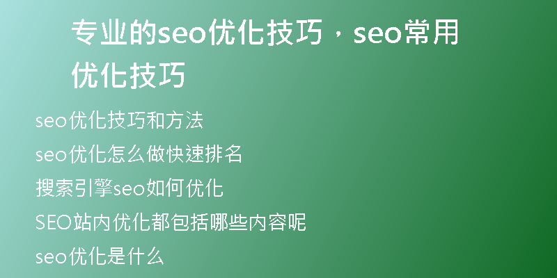 专业的seo优化技巧，seo常用优化技巧