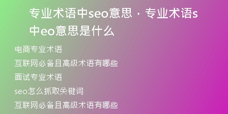 专业术语中seo意思，专业术语中seo意思是什么