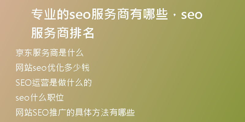 专业的seo服务商有哪些，seo服务商排名