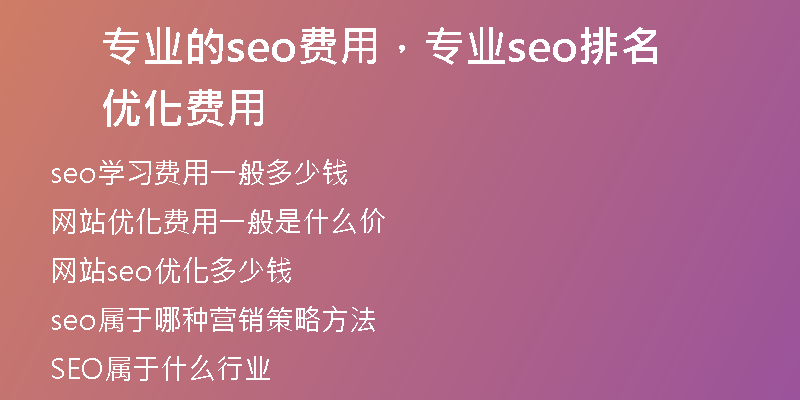 专业的seo费用，专业seo排名优化费用