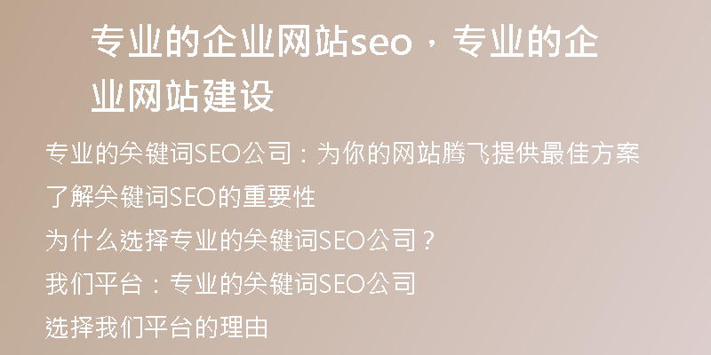专业的企业网站seo，专业的企业网站建设
