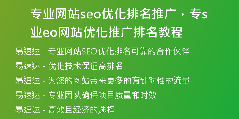 专业网站seo优化排名推广，专业seo网站优化推广排名教程