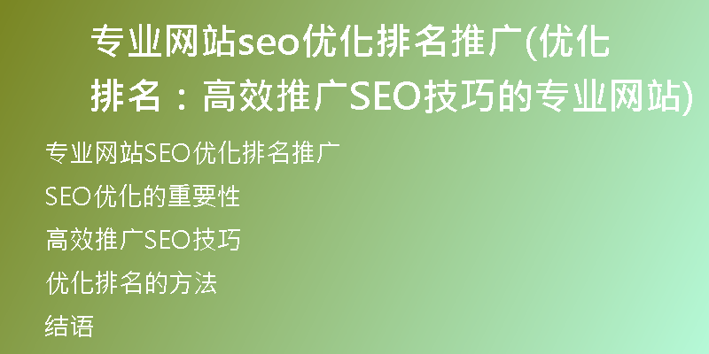 专业网站seo优化排名推广(优化排名：高效推广SEO技巧的专业网站)