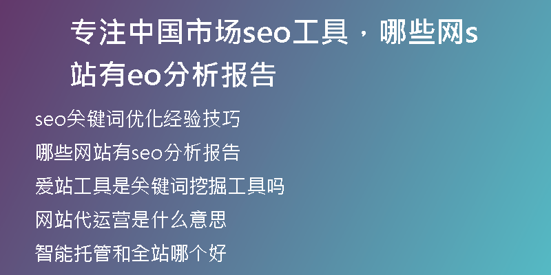 专注中国市场seo工具，哪些网站有seo分析报告