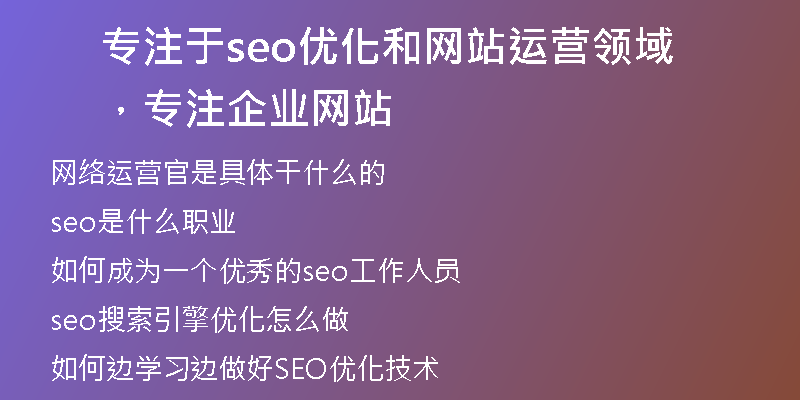 专注于seo优化和网站运营领域，专注企业网站