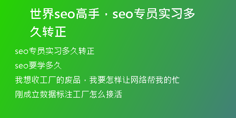 世界seo高手，seo专员实习多久转正