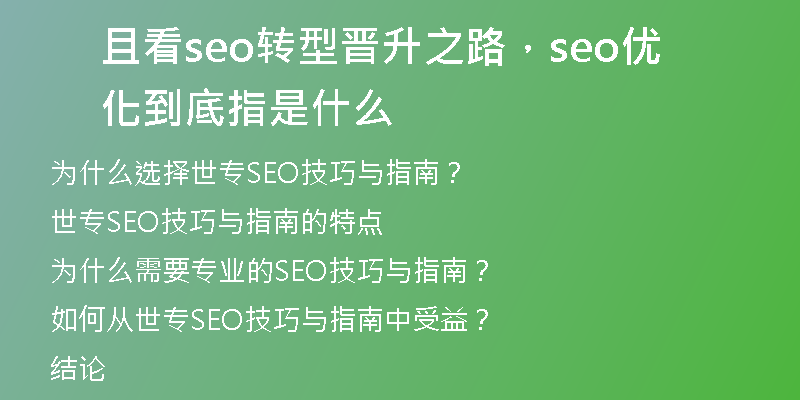 且看seo转型晋升之路，seo优化到底指是什么