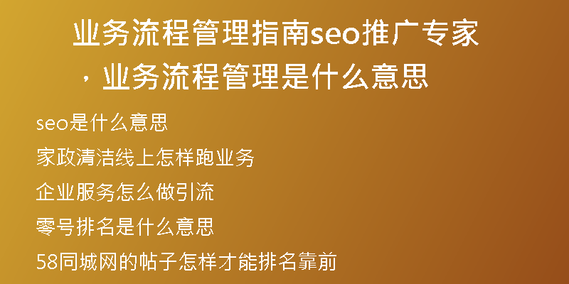 业务流程管理指南seo推广专家，业务流程管理是什么意思