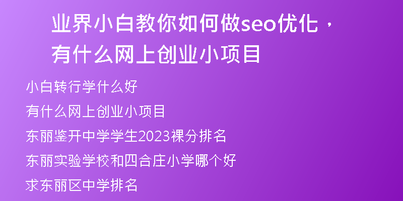 业界小白教你如何做seo优化，有什么网上创业小项目