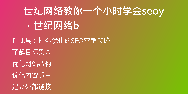 世纪网络教你一个小时学会seo,世纪网络by
