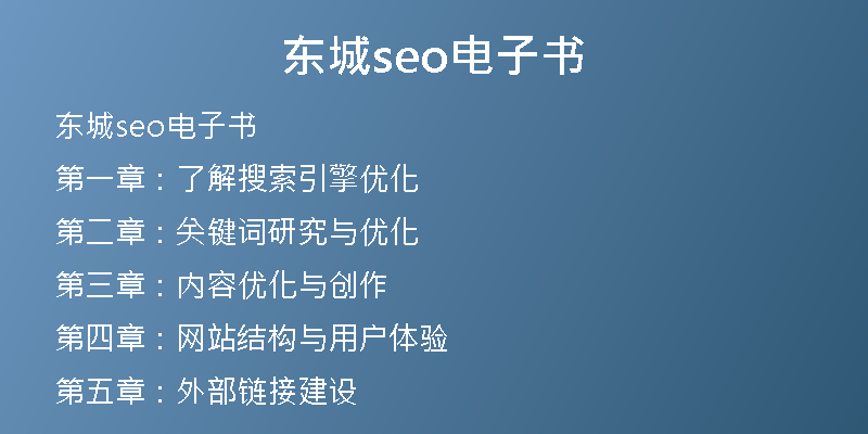 东城seo电子书