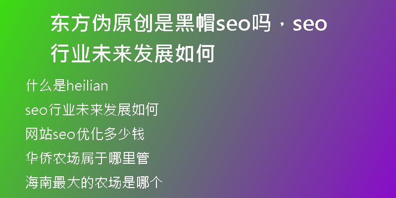东方伪原创是黑帽seo吗，seo行业未来发展如何