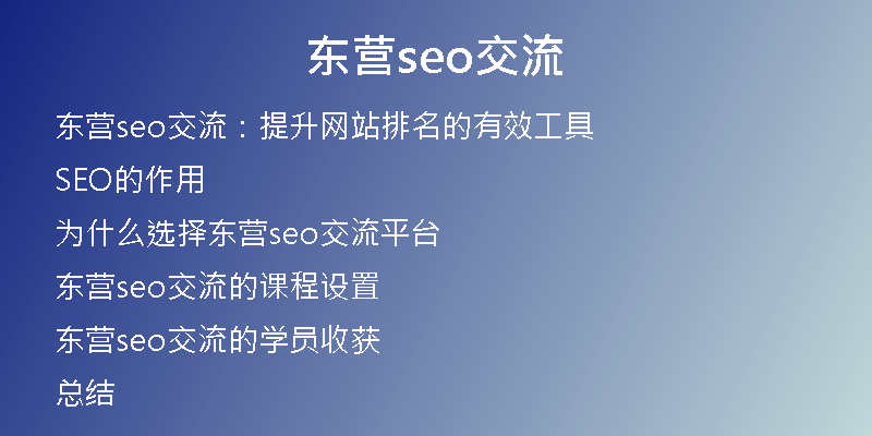 东营seo交流