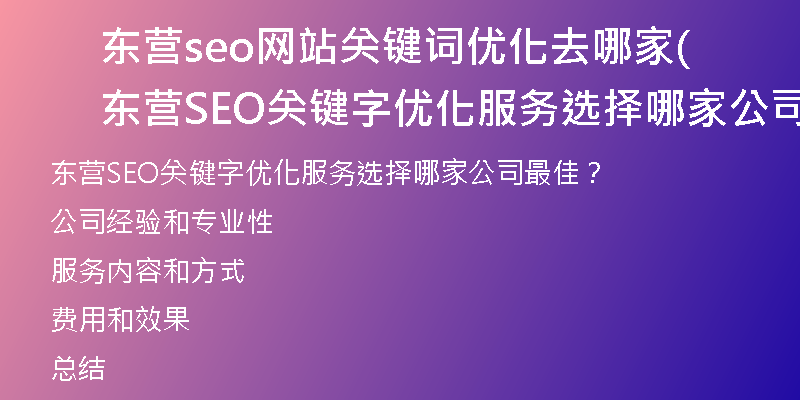 东营seo网站关键词优化去哪家(东营SEO关键字优化服务选择哪家公司最佳？)
