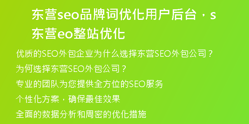 东营seo品牌词优化用户后台，东营seo整站优化